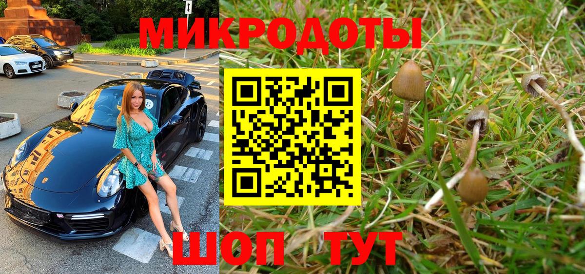 Галлюциногенные грибы ЛСД  где можно купить   Вход с VPN  Нурлат  Псилоцибиновые грибы ЛСД 