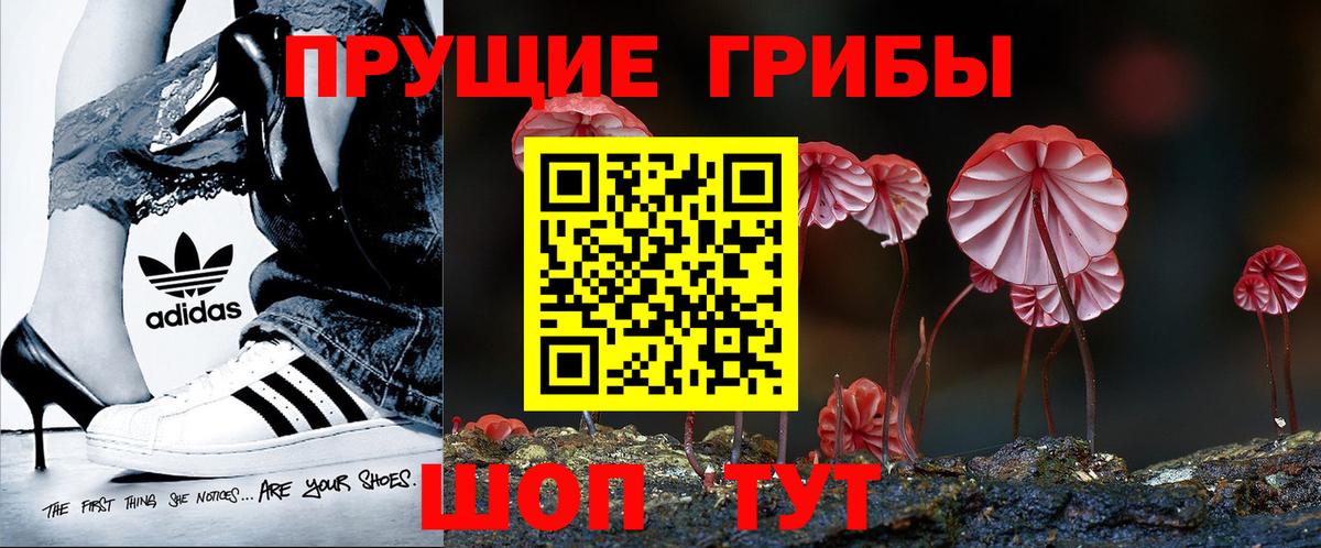 Псилоцибиновые грибы MAGIC MUSHROOMS Нурлат
